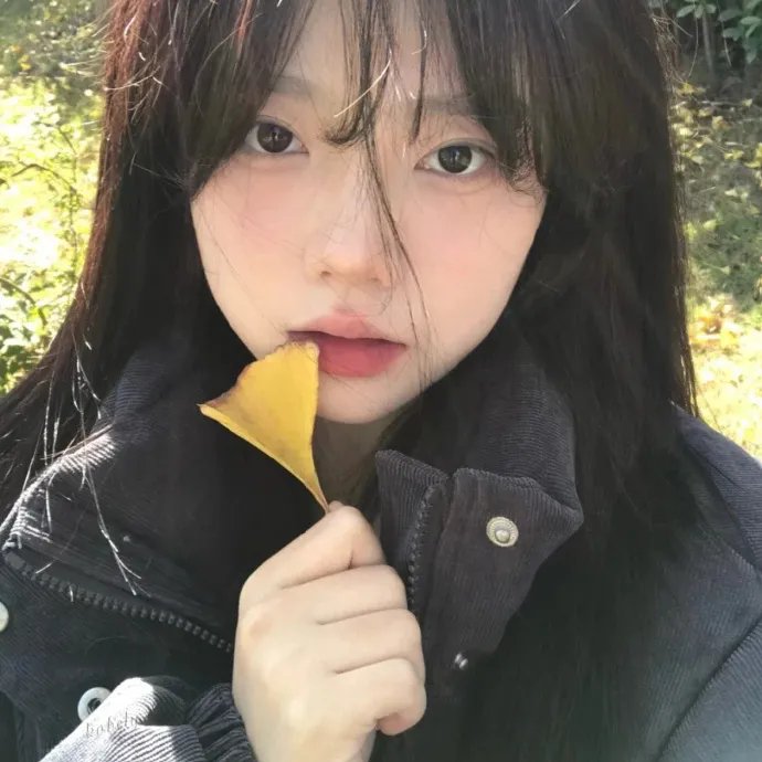 碧血黄花